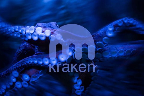 Правильная ссылка на kraken телеграмм kraken6.at kraken7.at kraken8.at